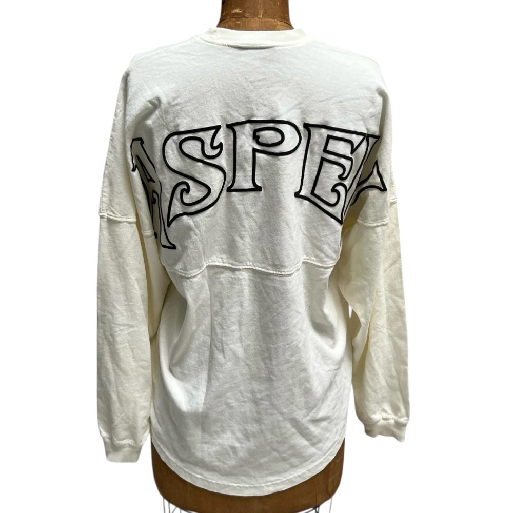 SPIRIT JERSEY Original Graphic Boyfriend Cotton Top ASPEN Athleisure Unisex Y2K